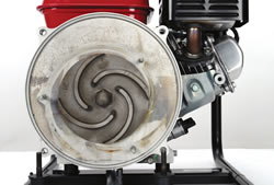 picture of honda impeller