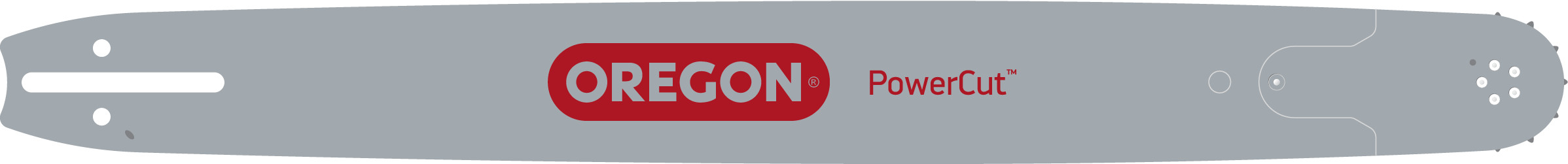 Oregon 243RNFD009 24-inch PowerCut Oregon Bar 