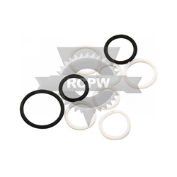 RCPW 49259 Cartridge Valve Seal Kit 