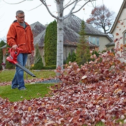 Toro 51621 UltraPlus 260 mph 340 cfm Electric Blower/Vacuum/Mulcher - TOR 51621