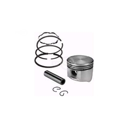 Rotary 8947 Piston Assembly - ROT 8947