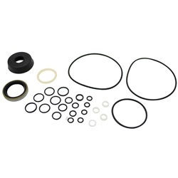 RCPW 15254 Main Ram Seal Kit 