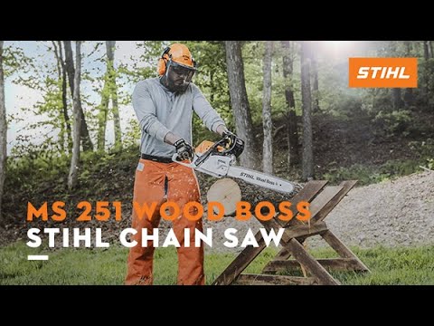 STIHL MS 251 18 WOOD BOSS 45.6cc Chainsaw w/ 18" Bar - STI MS 251 18